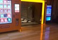 上海闵行区古美街道附近夜总会招聘包厢服务员,交五险一金吗？