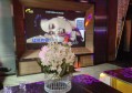 医疗科普视频招聘文案（诚邀医疗知识传播者：共创科普视频新篇章）