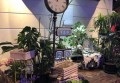 上海嘉定区徐行镇附近夜总会招聘商务礼仪,领班直聘的