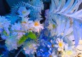 上海金山区亭林镇附近夜场招聘包厢气氛租,有学历要求吗？