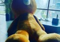 上海浦东新区高东镇附近夜总会招聘包厢服务员,招聘微信多少